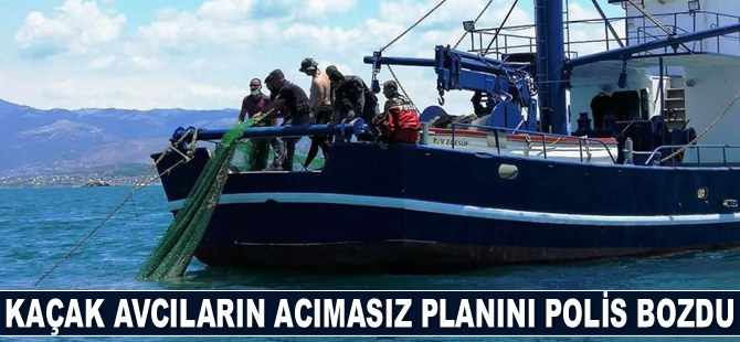 Kaçak avcıların acımasız planını polis bozdu