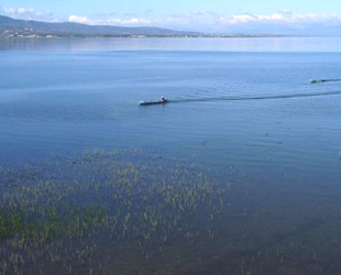 Kaçak balık avlayanlara 1 milyon 757 bin lira ceza kesildi