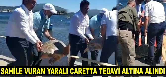 Urla’da sahile vuran yaralı caretta tedavi altına alındı