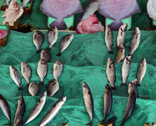 Müsilaj, tezgahlardaki balık satışlarını etkiledi