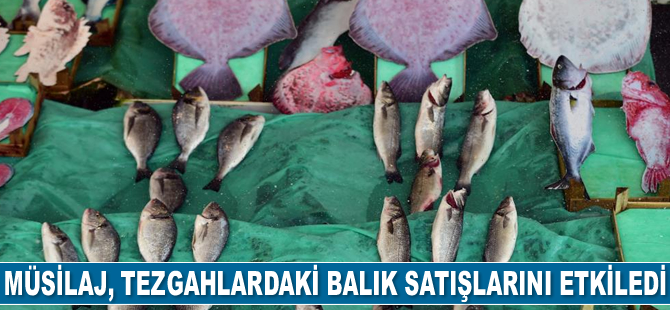 Müsilaj, tezgahlardaki balık satışlarını etkiledi