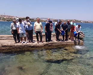 Datça'da 20 bin levrek yavrusu denizle buluştu