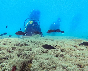 Doğu Akdeniz, su altı zenginliğiyle dalış tutkunlarını cezbediyor