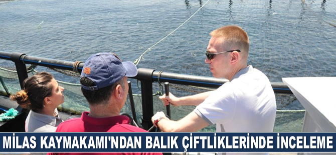 Milas’ta 230 adet balık çiftliği bulunuyor