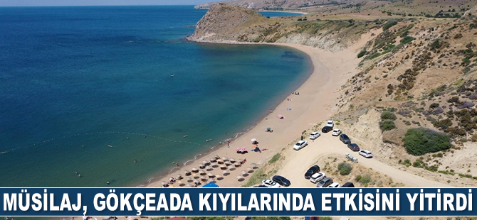 Müsilaj, Gökçeada kıyılarında büyük ölçüde etkisini yitirdi