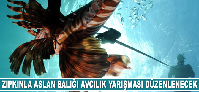 Antalya’da ‘Zıpkınla Aslan Balığı Avcılık Yarışması’ düzenlenecek