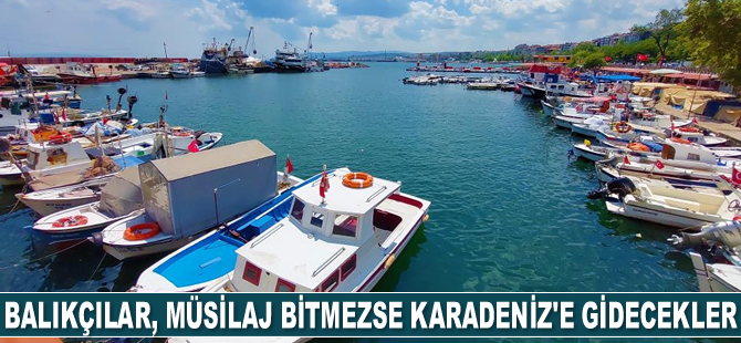 Tekirdağlı balıkçılar, deniz salyası bitmezse Karadeniz’e gidecekler