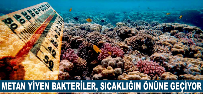 Okyanuslarda metan yiyen bakteriler, sıcaklığın önüne geçiyor
