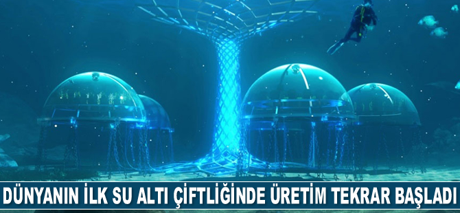 Dünyanın ilk su altı çiftliğinde meyve sebze üretimi tekrar başladı