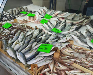 Tezgahtaki en pahalı balık Çinekop oldu