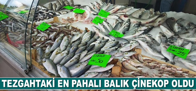Tezgahtaki en pahalı balık Çinekop oldu