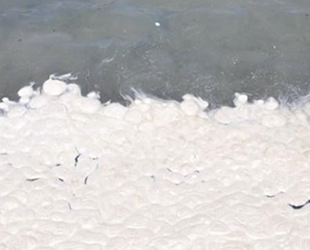 Datça'da denizde oluşan kirlilikle ilgili inceleme başlatıldı