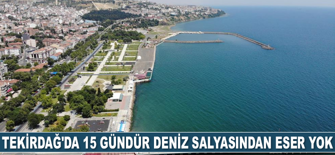 Tekirdağ’da 15 gündür deniz salyasından eser yok