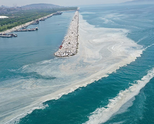 Müsilaj ile mücadele için midye tesisi kurulacak
