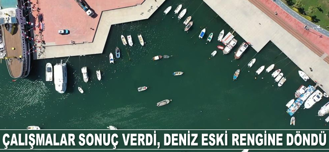 Tuzla’da temizleme çalışmaları sonuç verdi, deniz eski rengine döndü