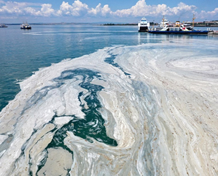 ‘Müsilaj Araştırmaları Çağrısı’ projesine başvurular başladı