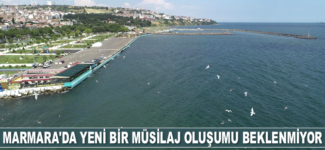 Marmara Denizi’nde yeni bir müsilaj oluşumu beklenmiyor