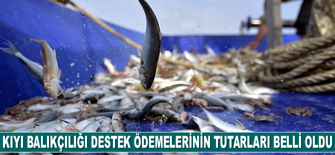 Geleneksel kıyı balıkçılığı destek ödemelerinin tutarları belli oldu