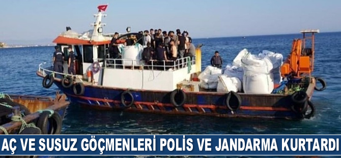Aç ve susuz göçmenleri, polis ve jandarma kurtardı