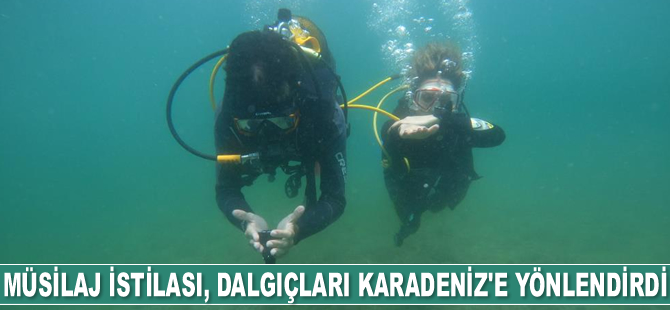 Deniz salyası istilası, dalgıçları Karadeniz’e yönlendirdi