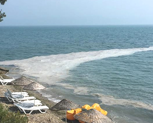 Gemlik sahillerinde yine müsilaj görüldü