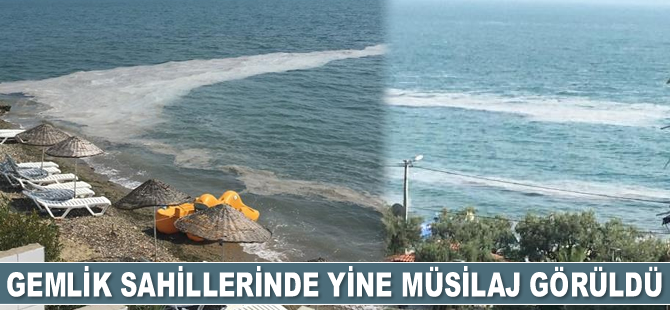 Gemlik sahillerinde yine müsilaj görüldü