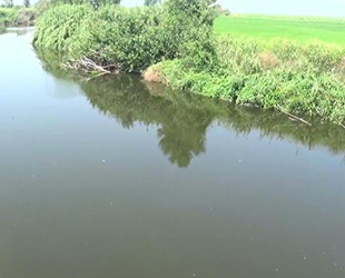 Gönen Çayı, atıklar nedeniyle siyaha büründü