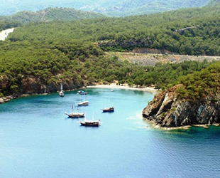 Alacasu Koyu, 20 yıllığına özel şirkete kiralandı