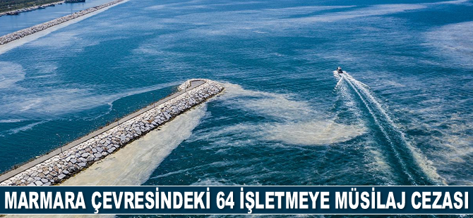Marmara çevresindeki 64 işletmeye müsilaj cezası kesildi