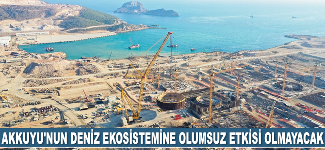 Akkuyu NGS'nin deniz ekosistemine olumsuz etkisi olmayacak