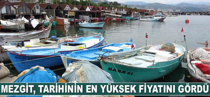 Mezgit, tarihinin en yüksek fiyatını gördü