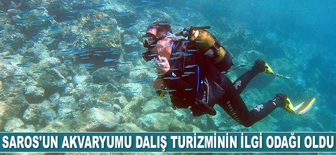 Saros'un akvaryumu dalış turizminin ilgi odağı oldu