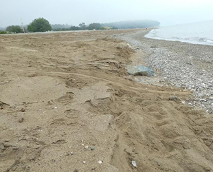 Kemer'de yeni caretta yumurtlama alanı tespit edildi