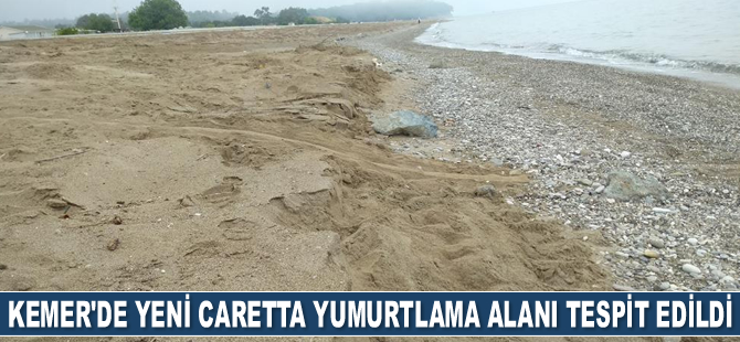 Kemer'de yeni caretta yumurtlama alanı tespit edildi