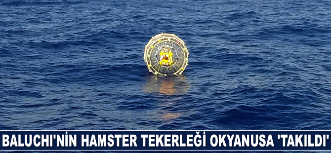 Hamster tekerleği okyanusa 'takıldı'
