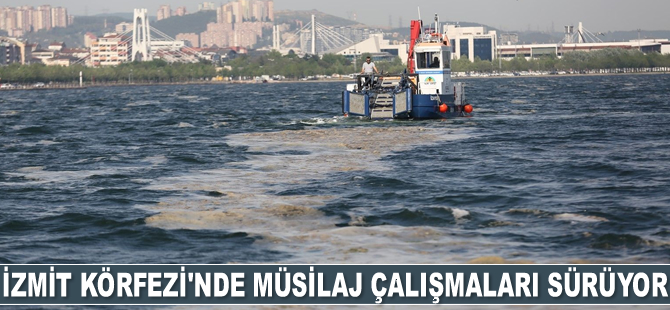 İzmit Körfezi’nde müsilaj çalışmaları sürüyor