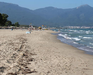 Carettalar, Kuşadası sahillerine yuva yaptı