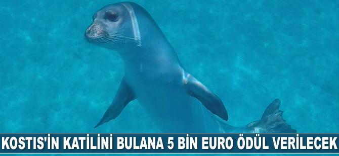 Kostis’in katilini bulana 5 bin euro ödül verilecek