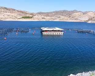 Malatya’da alabalık üretimi artıyor