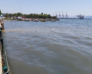 Atık su borusu patladı, İzmit Körfezi'nde kirlilik oluştu