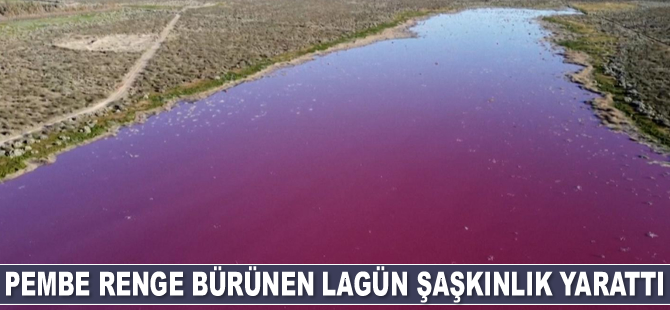 Arjantin'de bir lagün pembeye döndü