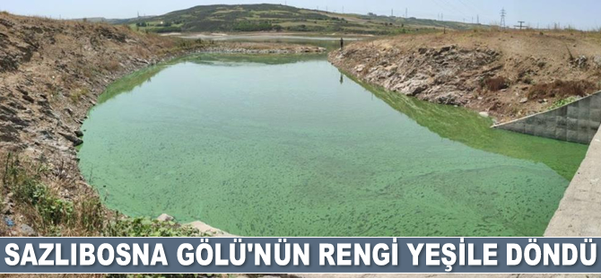 Sazlıbosna Gölü'nün rengi yeşile döndü
