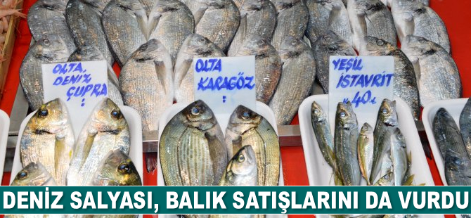 Müsilaj, balık satışlarını da etkiledi