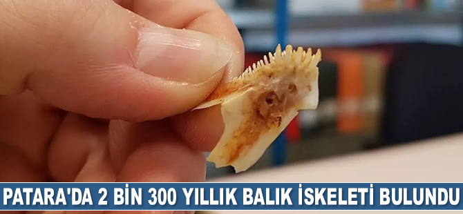 Patara Antik Kenti’nde 2 bin 300 yıllık balık iskeleti bulundu