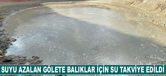 Erzurum'da suyu azalan gölete balıklar için su takviye edildi
