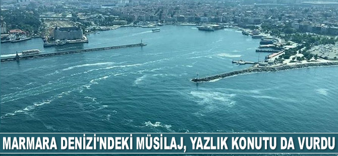 Müsilaj, yazlık konutu da vurdu