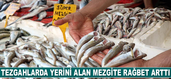Tezgahlarda yerini alan mezgit ve barbuna rağbet arttı