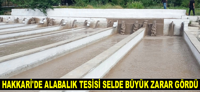 Hakkari'de alabalık tesisi selde büyük zarar gördü