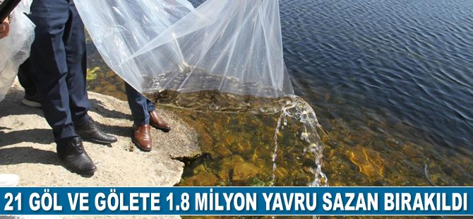 Konya’da 21 göl ve gölete 1 milyon 8 bin yavru sazan bırakıldı