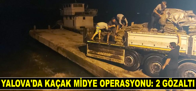 Yalova’da kaçak midye operasyonu: 2 gözaltı